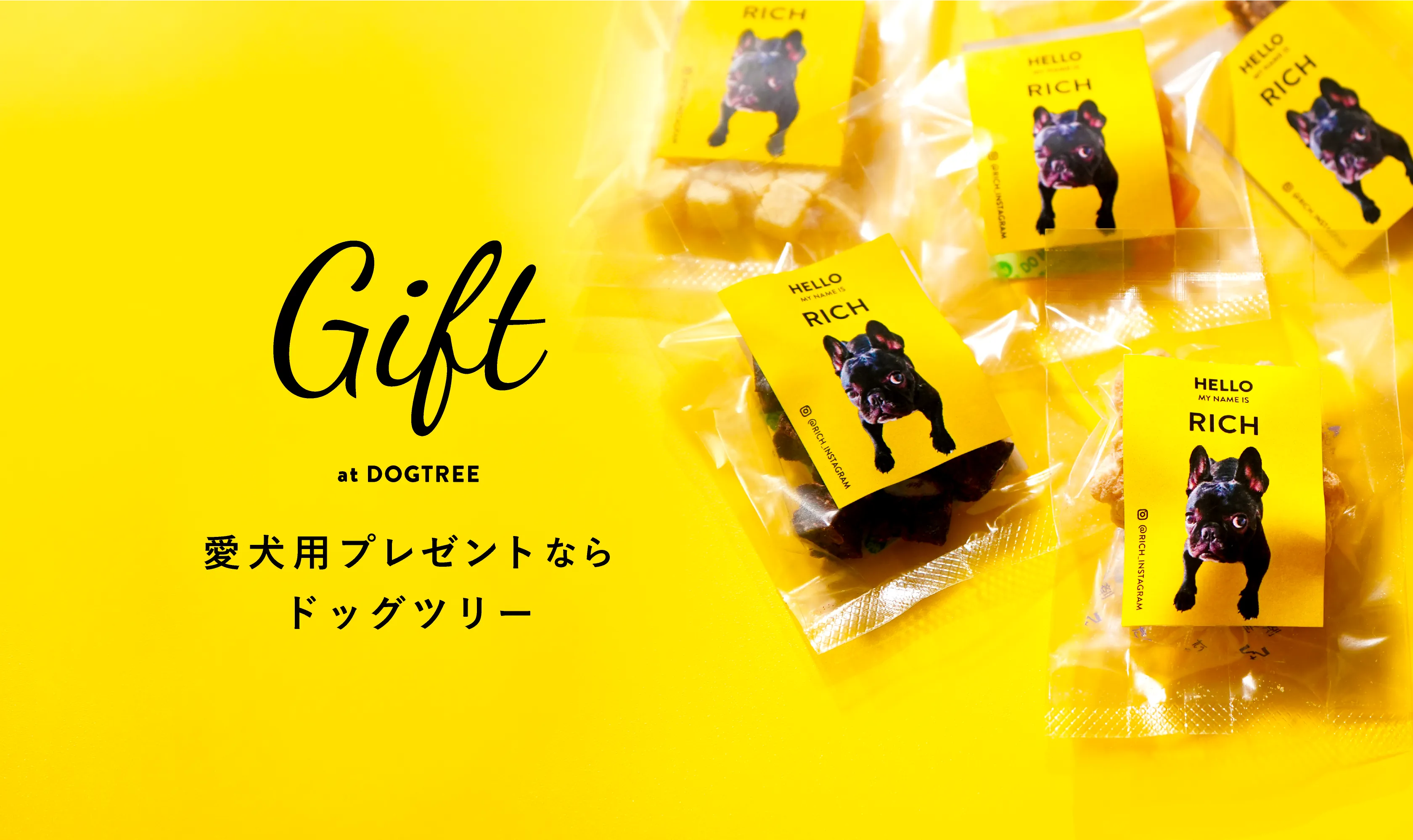 Gift at DOGTREE 愛犬用プレゼントならドッグツリー