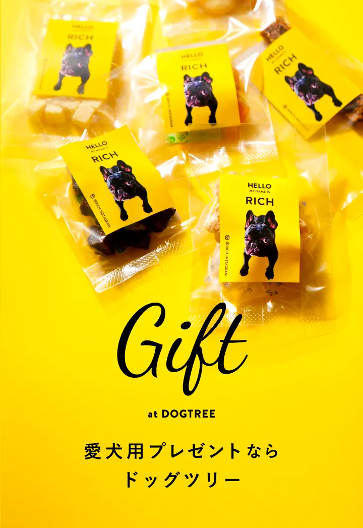 Gift at DOGTREE 愛犬用プレゼントならドッグツリー