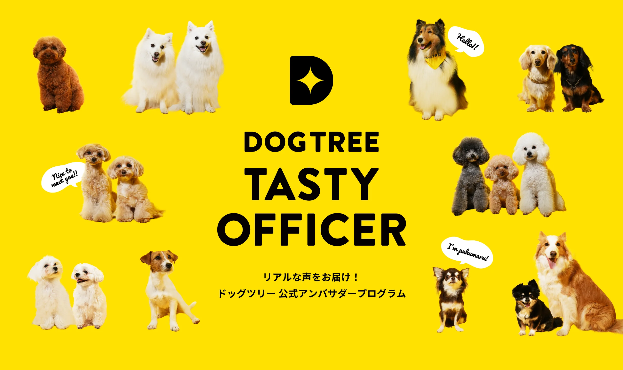DOGTREE TASTY OFFICER|リアルな声をお届け!ドッグツリー公式アンバサダープログラム
