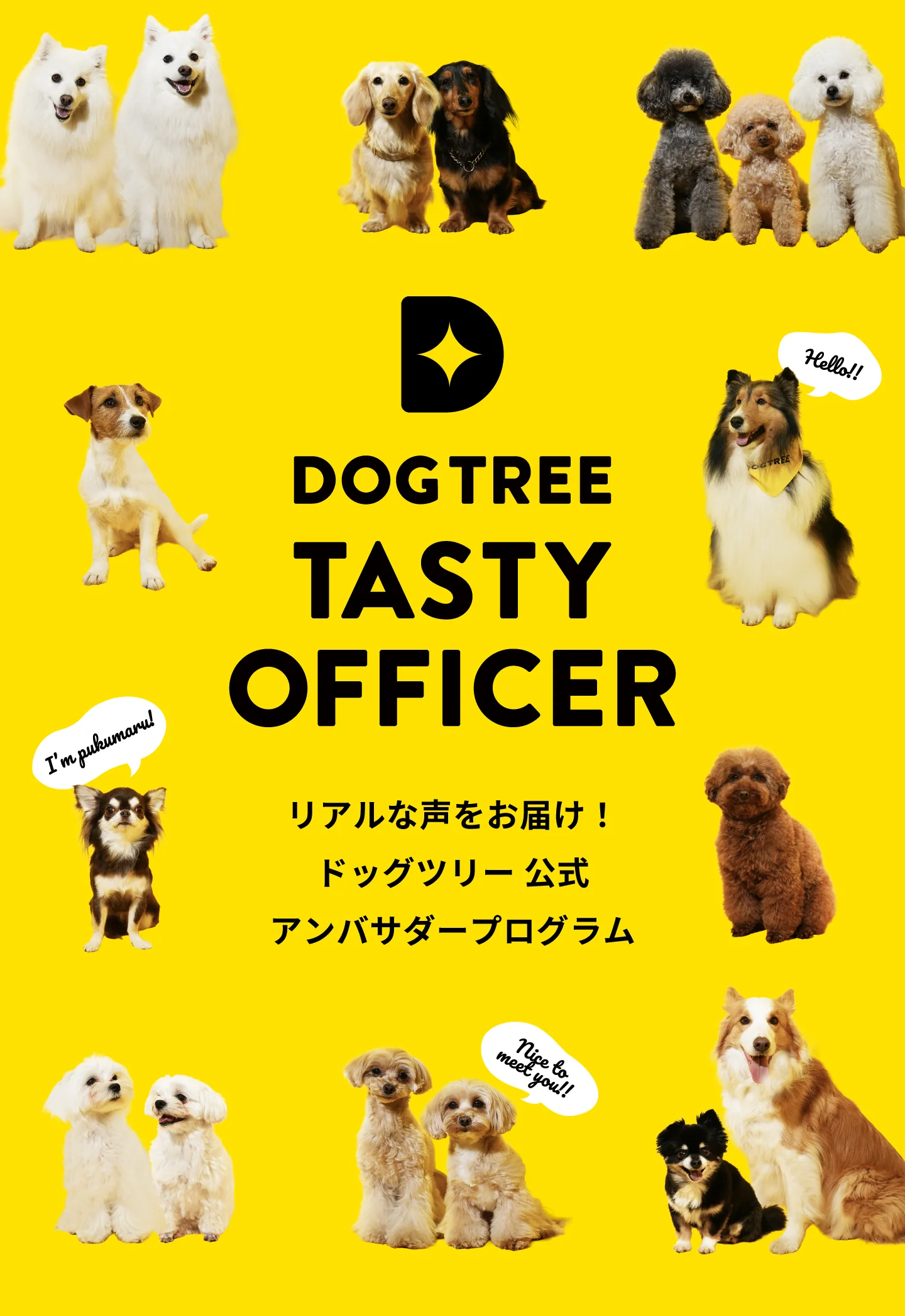 DOGTREE TASTY OFFICER|リアルな声をお届け!ドッグツリー公式アンバサダープログラム