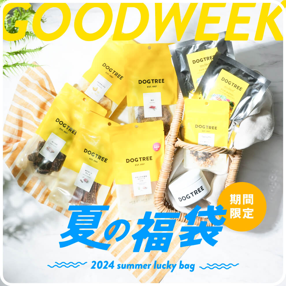 2024_summer-lucky-bag3.jpg