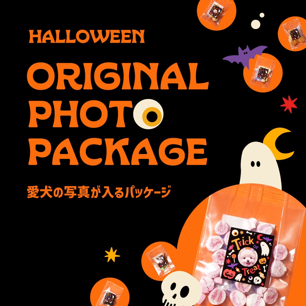 2025_halloween_banner.jpg