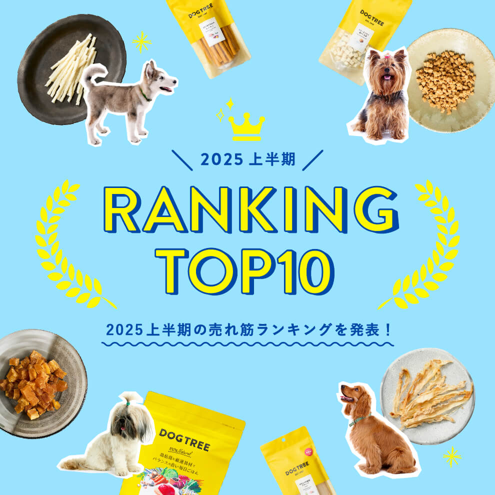 2025ranking_banner.jpg