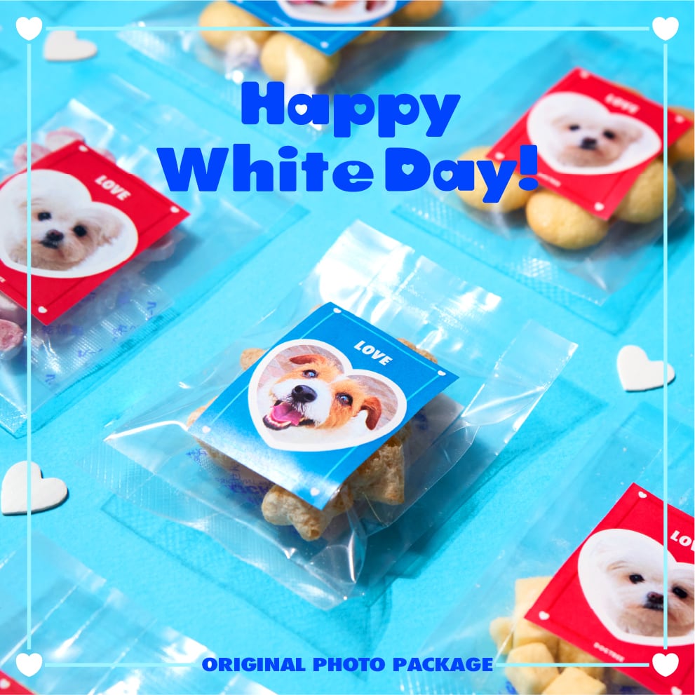 2026whiteday_banner.jpg