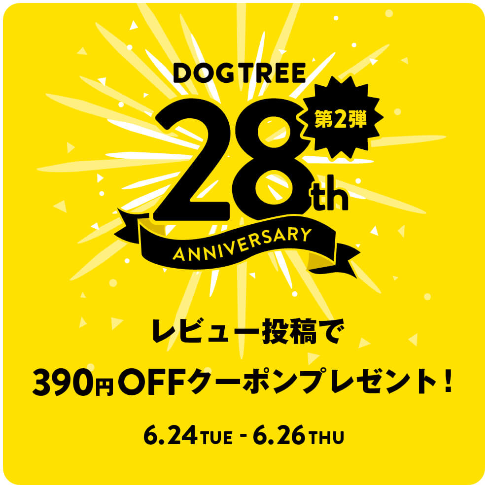 28_review_10off_TOP_20250624.jpg