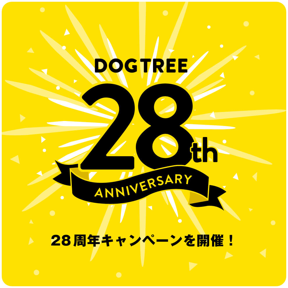 28th_banner.jpg