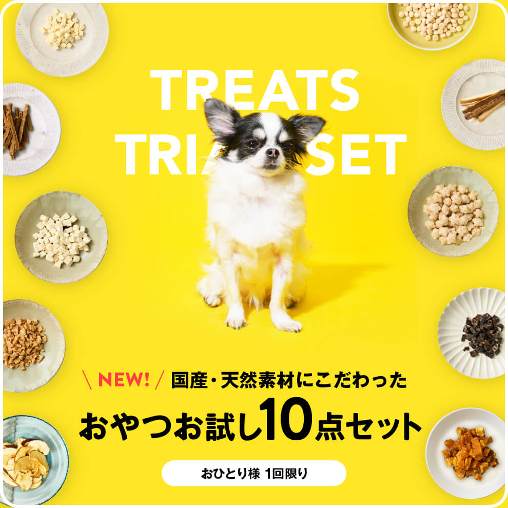 注目の ぱぱさんガレージ様専用 犬の無添加おやつ （国産・無添加】犬の ドッグフード
