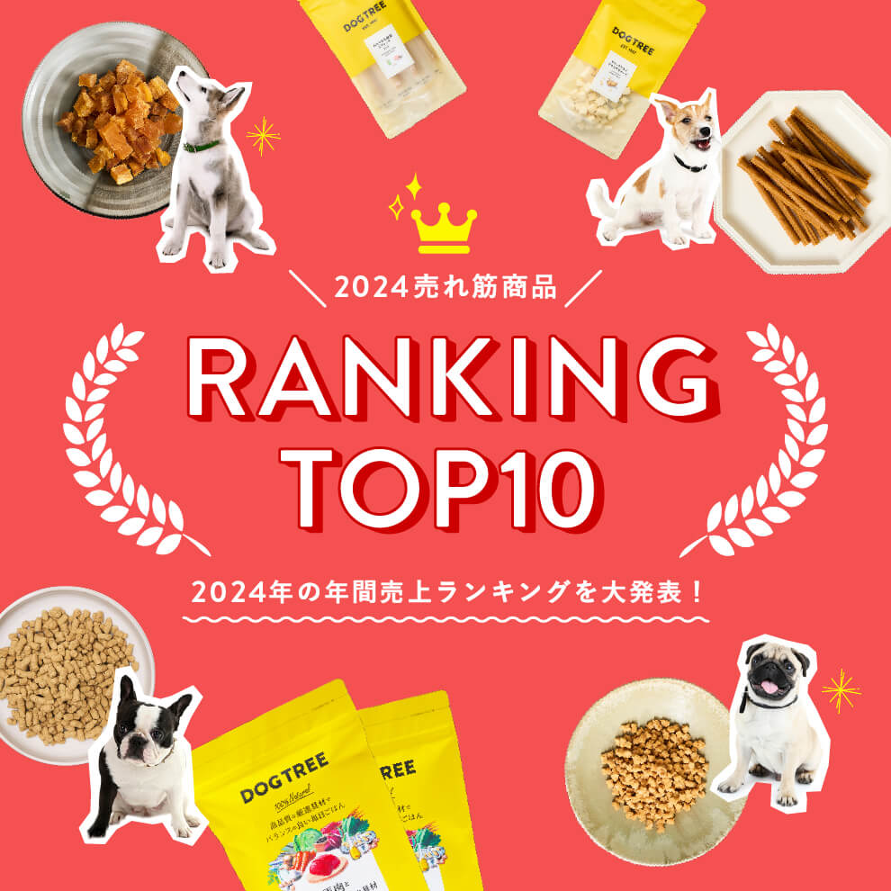 ranking-2024yearly.jpg