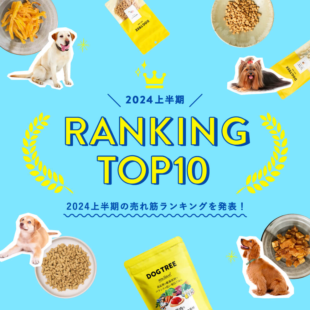 /img/home/ranking_2024.jpg