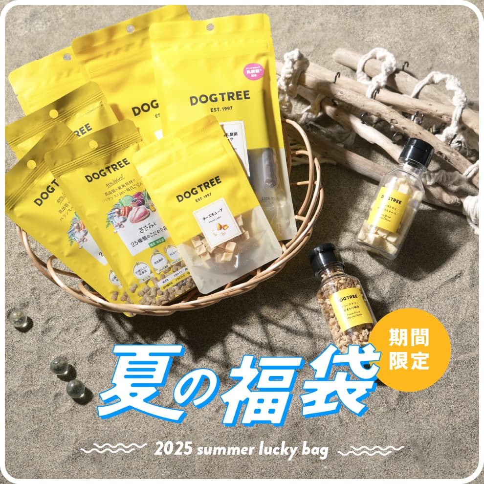 summer_lucke_bag_20250714.jpg