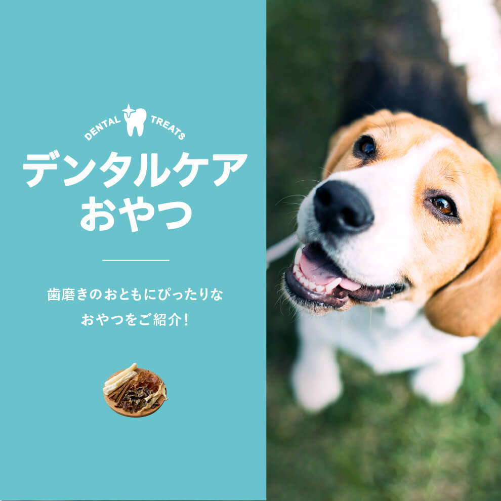 国産・無添加】犬のおやつならDOGTREE（ドッグツリー）｜公式通販サイト