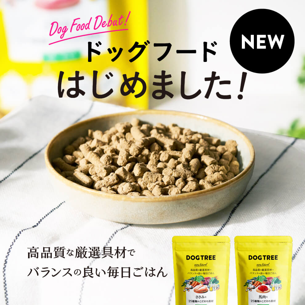 food_banner_01.jpg