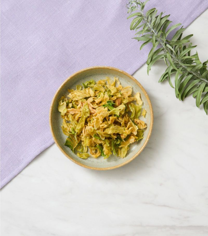 ドッグフード M.MARKET K9Lamb_Salmon1.8kgFV_1200x1698