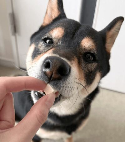 フリーズドライ 絹ごし豆腐 S 約8g｜【国産・無添加