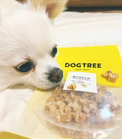 DOG TREE ささみと25種類のこだわり具材600g✖︎3 1800g 楽天市場】ドッグツリー ささみと25種類のこだわり具材 600g 無
