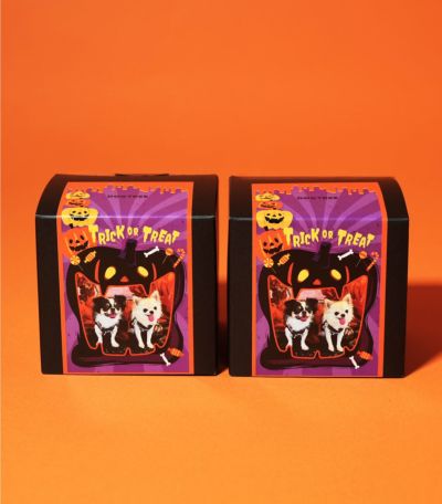 ハロウィン 第1弾】 デザインB イタズラしちゃうぞ！ 2箱セット