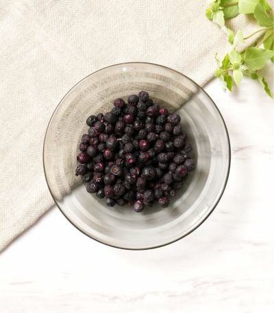 フリーズドライ ブルーベリー M 13g